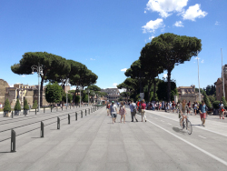 tram fori 04 POST no rete